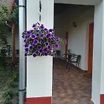 Négy Tücsök 3*