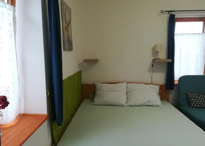 Negy Tuecsoek Vendeghaz Gasthuis Nagykoru